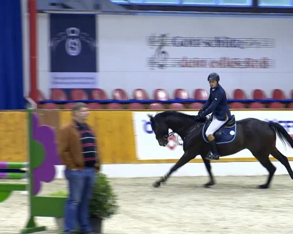 12. Hallenchampionat Vechta