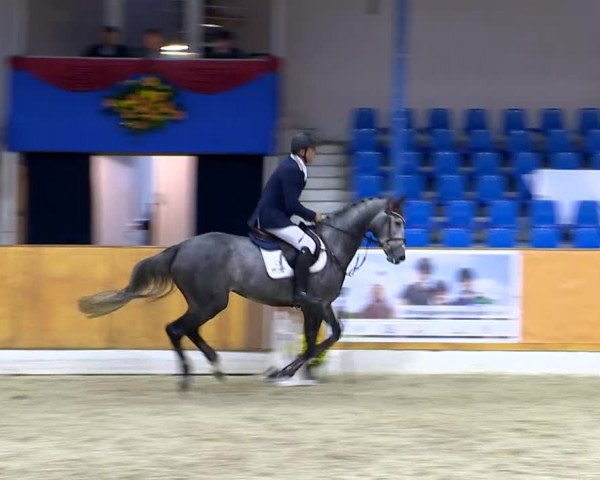 12. Hallenchampionat Vechta