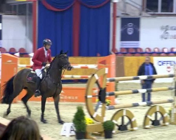 12. Hallenchampionat Vechta