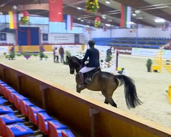 12. Hallenchampionat Vechta