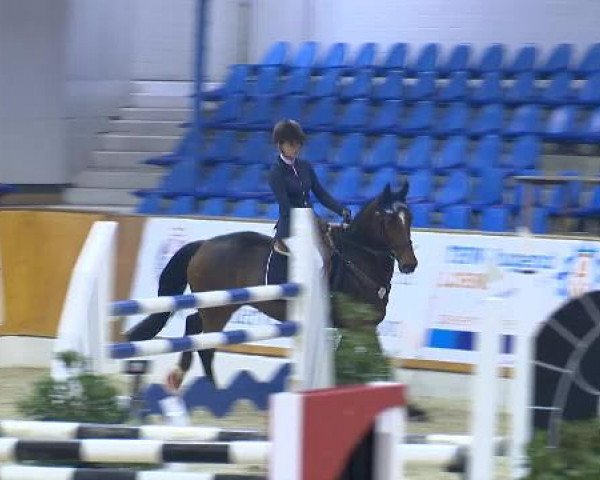 12. Hallenchampionat Vechta