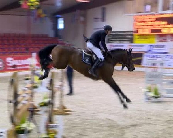 12. Hallenchampionat Vechta