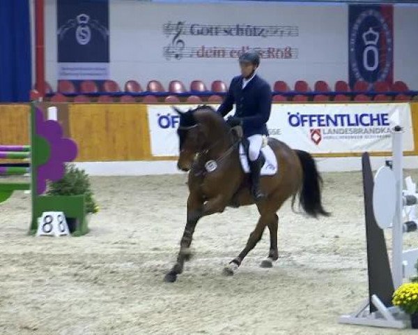 12. Hallenchampionat Vechta