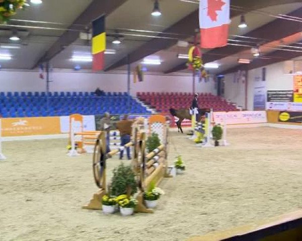 12. Hallenchampionat Vechta