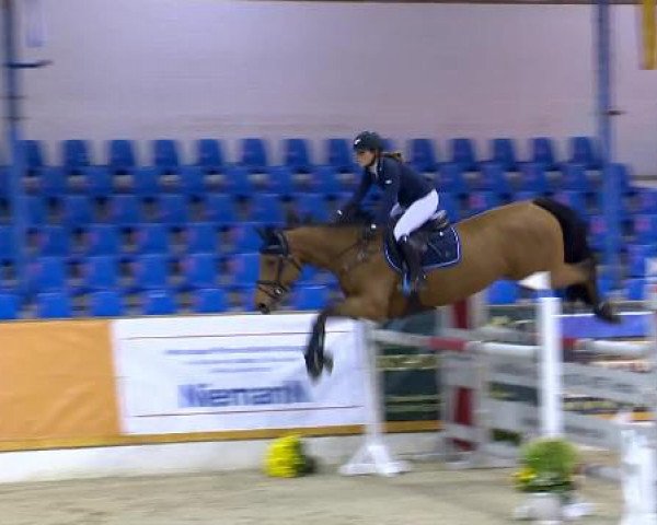 12. Hallenchampionat Vechta