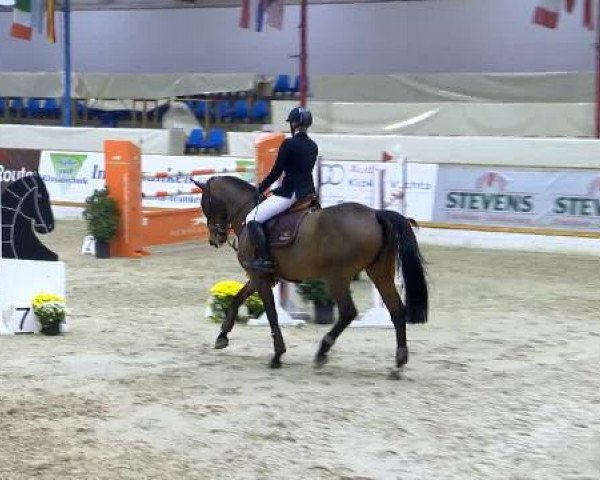 12. Hallenchampionat Vechta