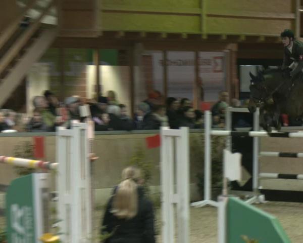 Reitturnier Heiden 2026