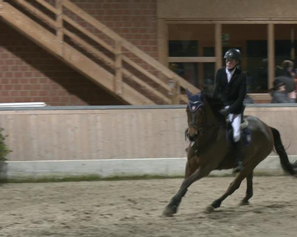 Reitturnier Heiden 2026