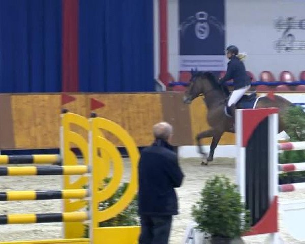 12. Hallenchampionat Vechta