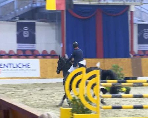 12. Hallenchampionat Vechta