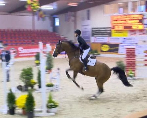 12. Hallenchampionat Vechta