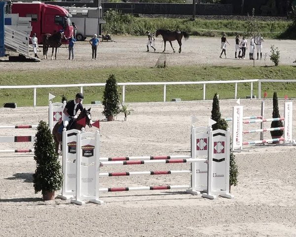 Pferdesporttage Bülach 2021