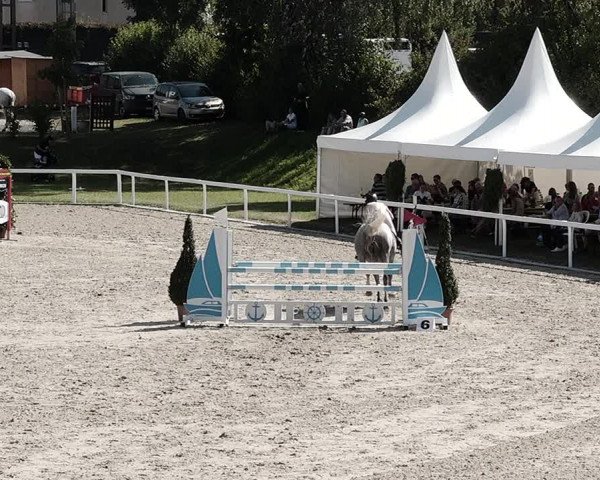 Pferdesporttage Bülach 2021