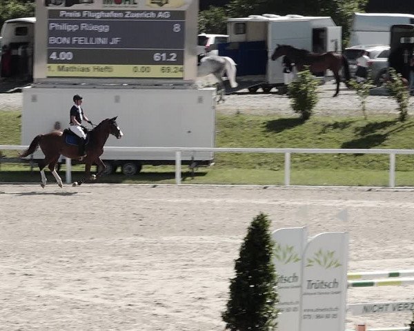 Pferdesporttage Bülach 2021