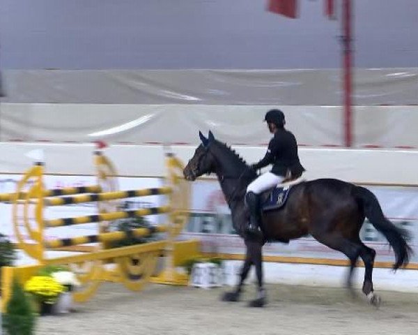 12. Hallenchampionat Vechta