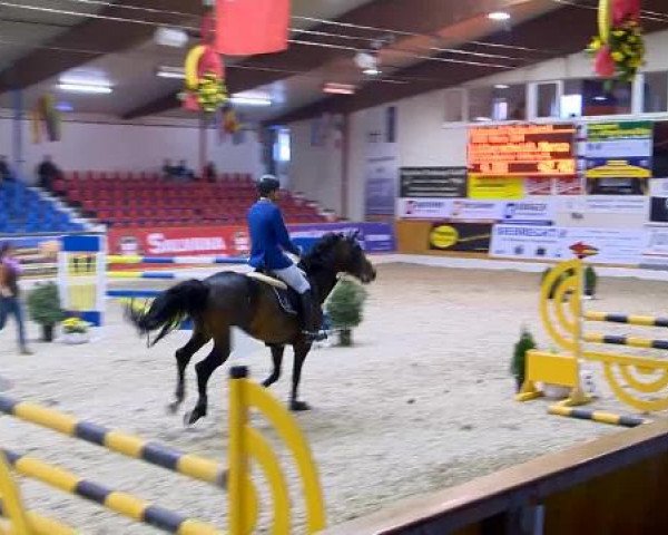 12. Hallenchampionat Vechta