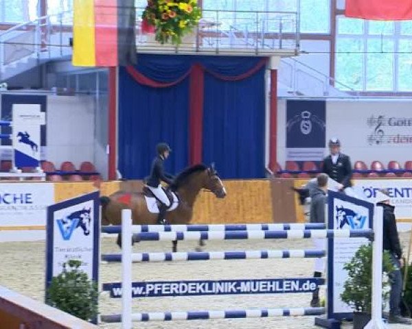 12. Hallenchampionat Vechta