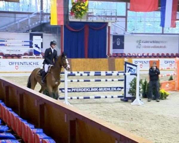 12. Hallenchampionat Vechta