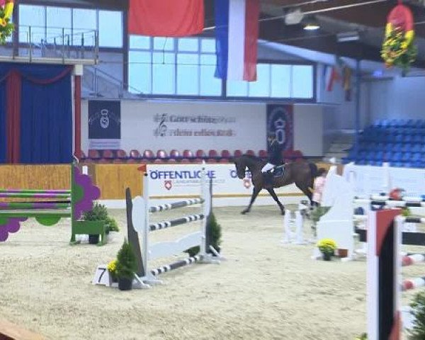 12. Hallenchampionat Vechta