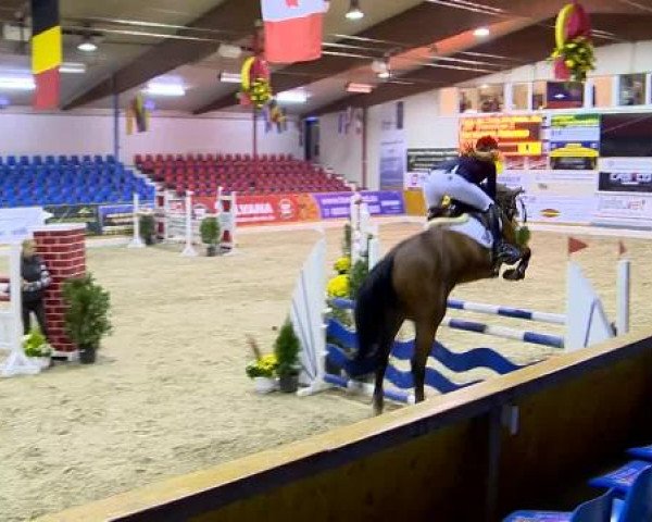 12. Hallenchampionat Vechta
