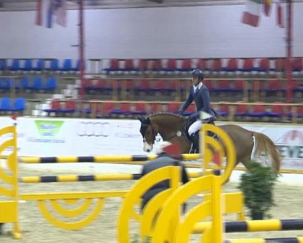 12. Hallenchampionat Vechta