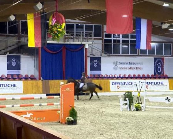 12. Hallenchampionat Vechta