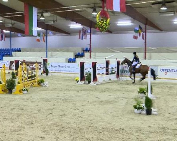 12. Hallenchampionat Vechta