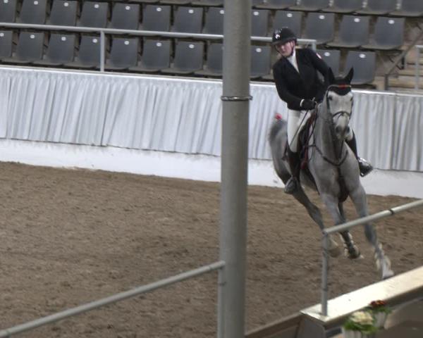 Reitturnier Verden 2026