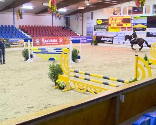 12. Hallenchampionat Vechta