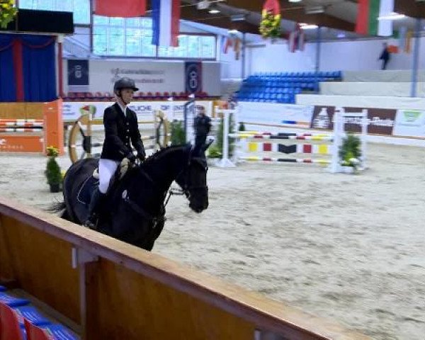 12. Hallenchampionat Vechta
