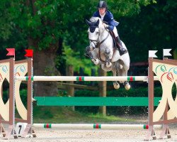 jumper Qstar (Dutch Pony, 2007, from Quasimodo Z)
