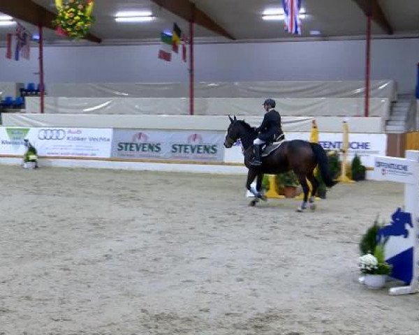 12. Hallenchampionat Vechta