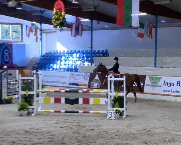 12. Hallenchampionat Vechta