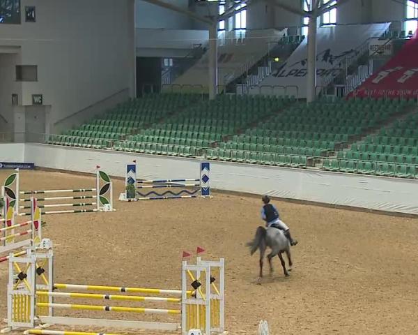 Reitturnier Kreuth/Opf. 2026