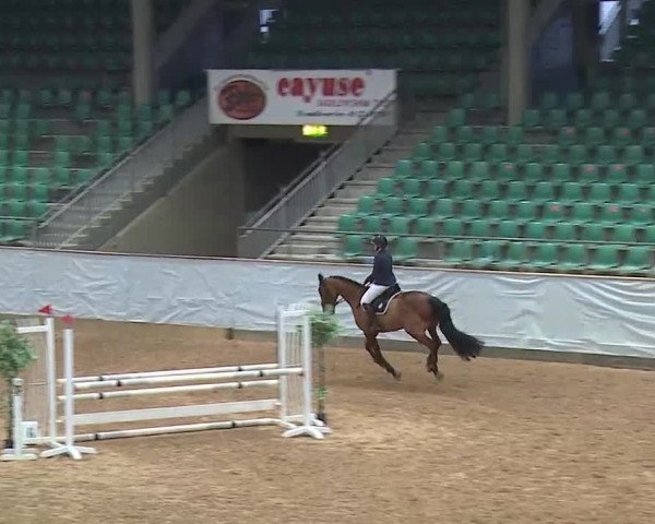 Reitturnier Kreuth/Opf. 2021