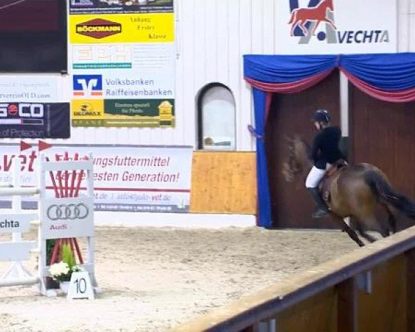 12. Hallenchampionat Vechta