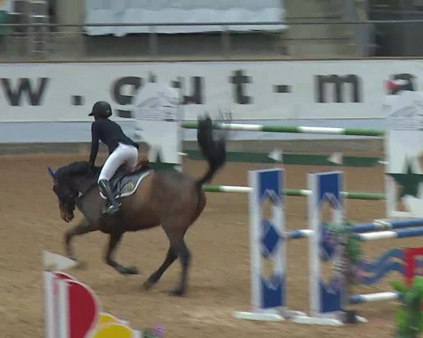 Reitturnier Kreuth/Opf. 2021