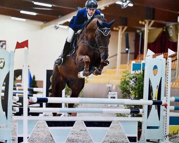 Jumper Kamaro Gk (Holsteiner, 2015, from Kannan)