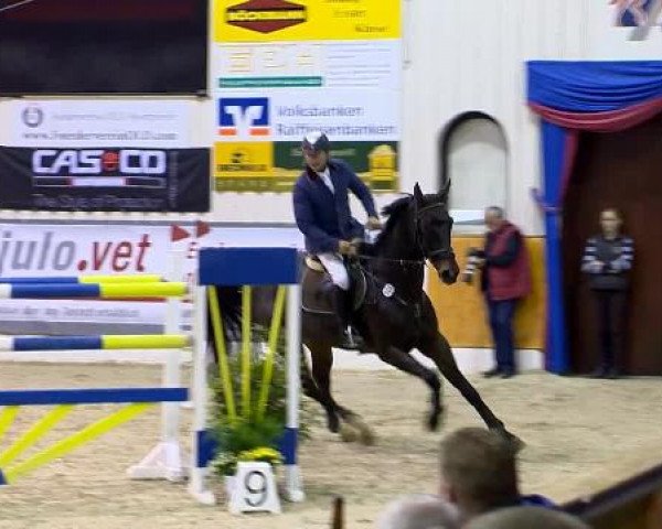 12. Hallenchampionat Vechta