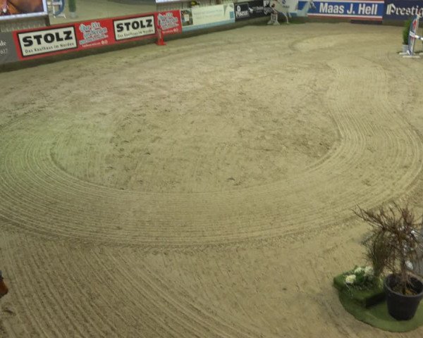 4. Nordic Jumping in Negernbötel 2021