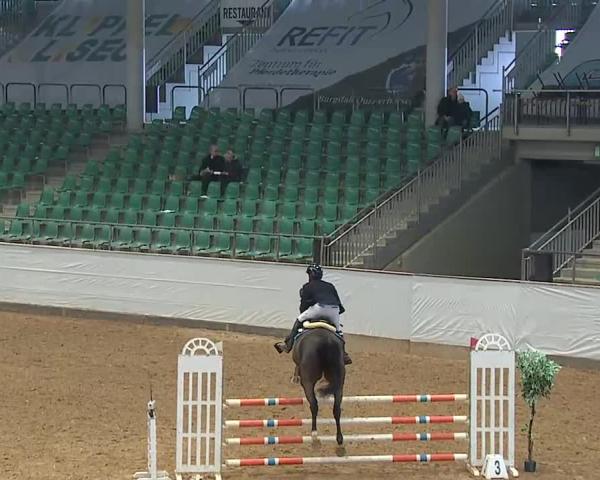 Reitturnier Kreuth/Opf. 2026