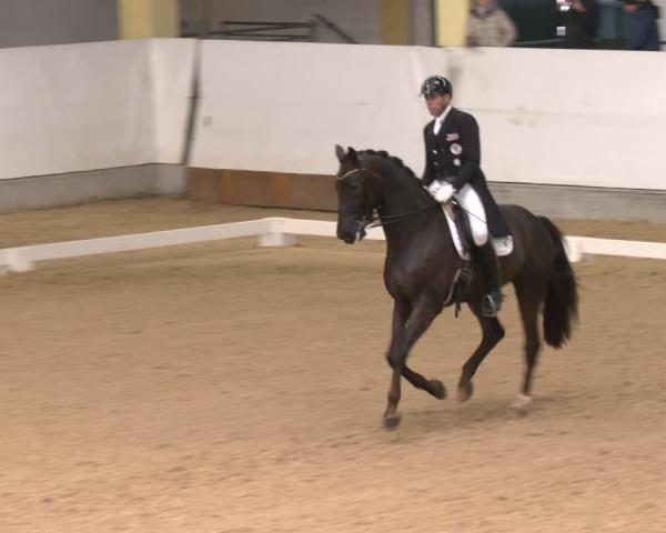 Reitturnier Stadl-Paura 2026