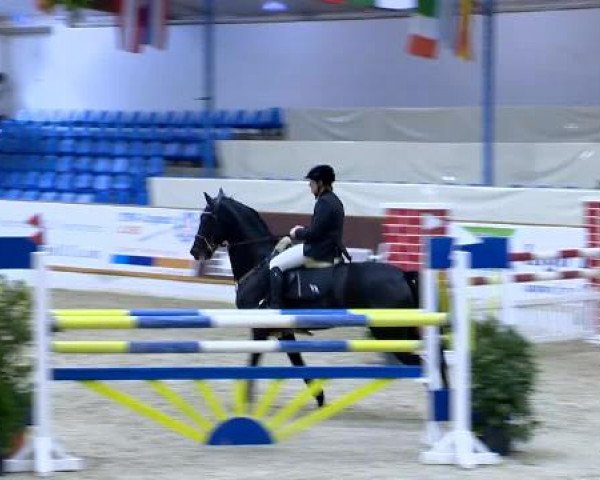 12. Hallenchampionat Vechta