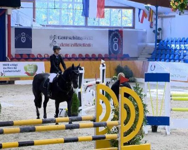 12. Hallenchampionat Vechta
