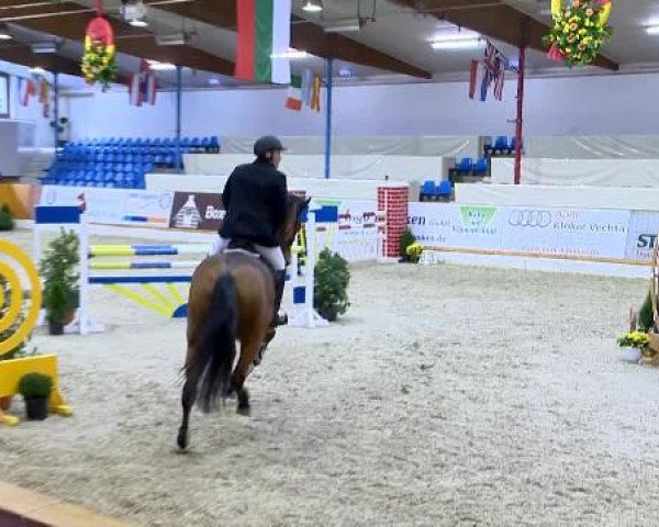 12. Hallenchampionat Vechta