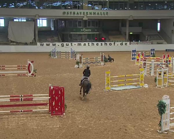 Reitturnier Kreuth/Opf. 2026