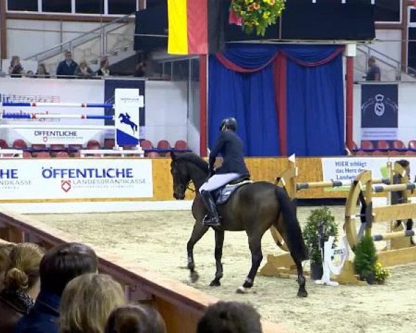 12. Hallenchampionat Vechta