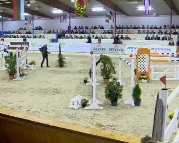 12. Hallenchampionat Vechta