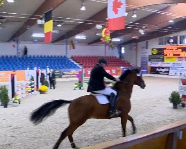 12. Hallenchampionat Vechta