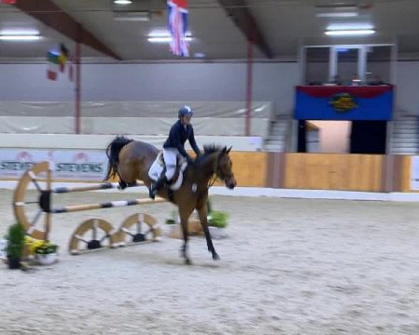 12. Hallenchampionat Vechta